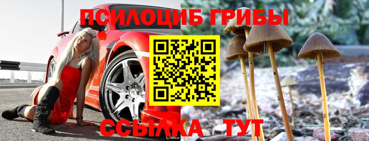 Галлюциногенные грибы мицелий Чехов