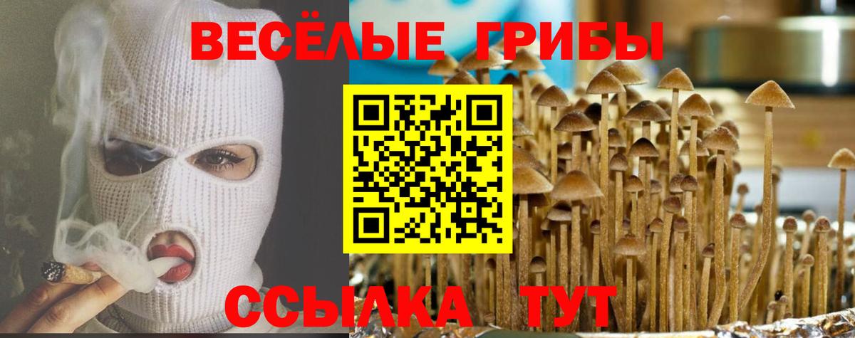 Псилоцибиновые грибы Magic Shrooms  Вход с VPN  Псилоцибиновые грибы Cubensis  Чехов 